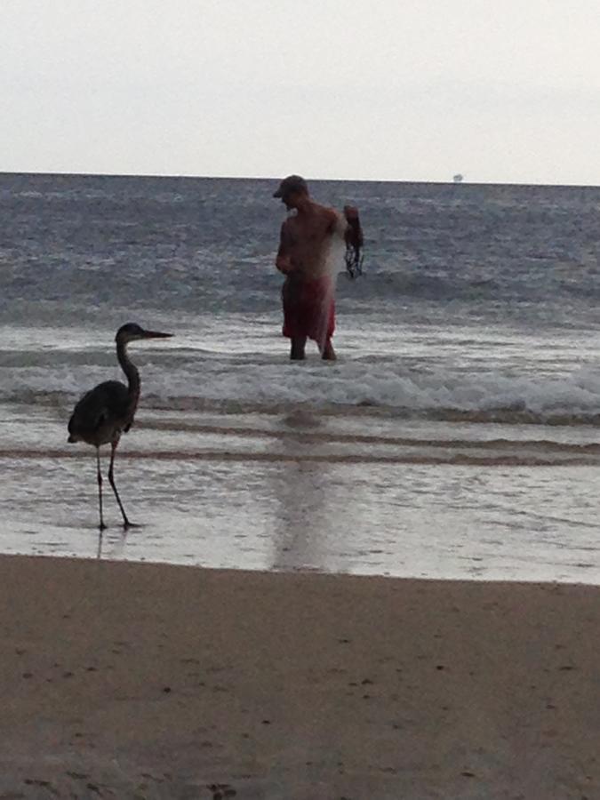 Gulf Shores Plantation Bagian luar foto