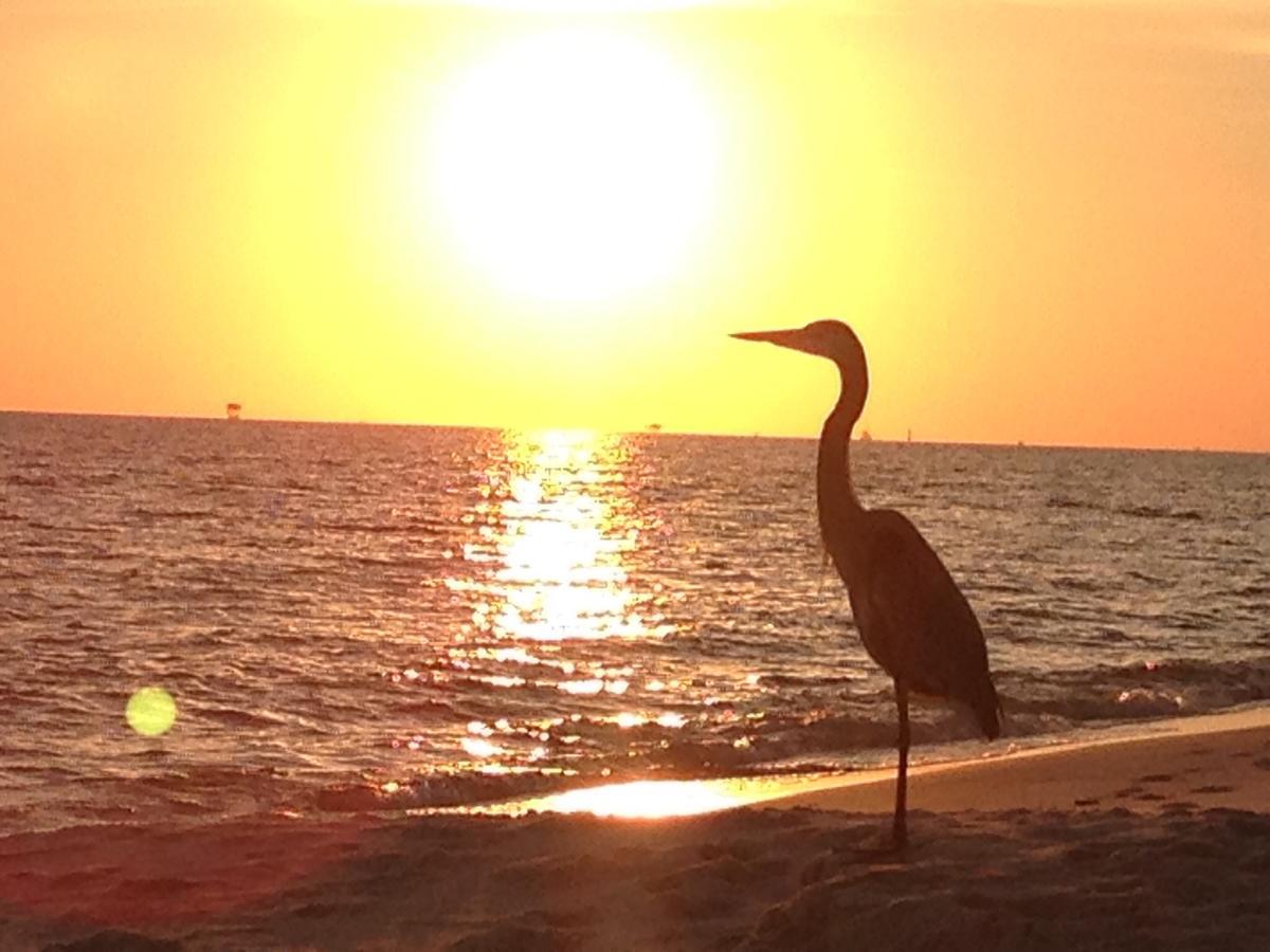Gulf Shores Plantation Bagian luar foto